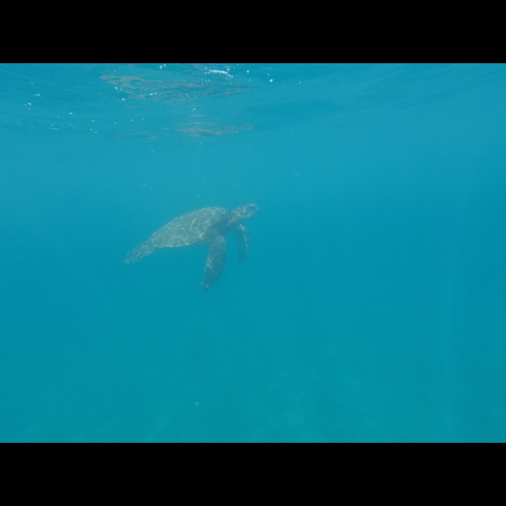 Meet your Posher, Federico